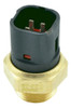Bulbo Temperatura Electro Renault Megane 2.0 0