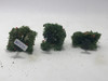 Nico 3 Arboles Frutales De 5 Cms De Alto  Ho (arv 25) 4