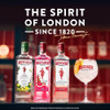 Gin Beefeater 750ml. Envio Gratis 4