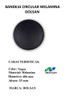 Bandeja Circular Melamina Negra 40,6 Cm Dolsan Catering ! 1