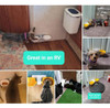 Cuenco De Comida Para Gatos Montado En La Pared, Cuencos Ele 2
