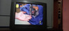 Tv 29p Marca Philips 1