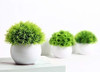 4 Mini Plantas Artificiales 3