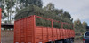 Viruta De Pino En Packs 6