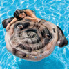 Colchoneta Inflable Pileta Intex Perro Pug 173 X 130 Cm. 2