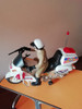 Moto Electrónica De Juguete 0