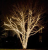 Luz Calida Exterior Guirnalda Luz Led Premium Blanca Calida 6