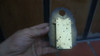 Antiguo Cuadrante Frente Reloj Kundo 8,9 Ancho - 13 Alto 5