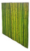 Panel De Caña 2m Altura Buenos Aires Bambu 0