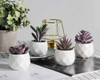 Dream Allison  Plantas Artificiales Para Decoracion De Inte 6