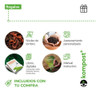 Tapa Repuesto Para Compostera Urbana Kompost® 40×60 Cm K C 1