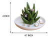 Pudding Cabin Soporte Para Anillos De Aloe, Plato Para Anill 3