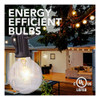 Sterno Home Gl42958 - Guirnalda De Luces Incandescentes Para 4