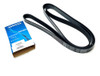Correa Poly-v  7pk 2265  Dayco 3