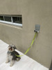 Dog Point: Punto De Apoyo Canino Acero Inoxidable 2