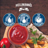 Ketchup Hellmanns Sobrecito Individual Aderezos Dp X60g 1