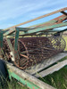 Rolo Yomel Con Carro 2