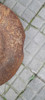 Discos Arado Excentrica 42 Cms De Diametro 2