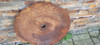 Discos Arado Excentrica 42 Cms De Diametro 3