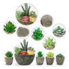 Plantas Suculentas Juego De 5 Artificiales, Suculentas Falsa 1