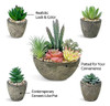 Plantas Suculentas Juego De 5 Artificiales, Suculentas Falsa 3