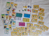 Zoopoly Juego De Mesa 2