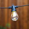 Brightech Ambience Pro - Cadena De Luces Para Exteriores Con 4