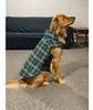 Chaquetas Para Perros Migohi Para Invierno Abrigo Impermeabl 5
