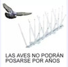 16 Puas Pinches =8 Mts Raven Antipose Paloma Ave Loro Plaga 0
