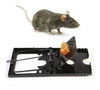 Trampa Para Ratas Ratones Roedores Metálica - 2 Unidades 1