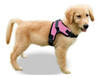 Arnes De Perro Ajustable Reflectante Sin Tiron Copatchy Co 0