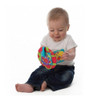 Libro Mordillo Didáctico Teething Time Activity Book Playgro 2