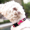 Conjunto De Collar Y Correa Para Perros Azuza, Bonitos Patro 2