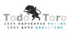 Torino Aro De Faro Principal Zx / Gr 2