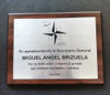 Placa Reconocimiento, Plaqueta, Grabado Incluido 1
