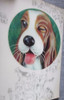 Postale Vintage Perro Que Mira Y Guiña 3d Lenticular 1