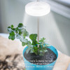 Lámpara Led Cultivo De Plantas Temporizador Automátic... 2