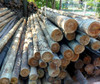 Poste Impregnado Cca X Metro Ø7-9cm Tratado Palo 7