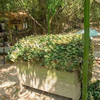Red De Camuflaje Loogu Para Camping Caza Decoracion 1.5x3m 6