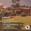 Cuervo Ahuyenta Espanta Palomas Raven Original 6