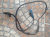 Sensor Abs Delantero P/ Citroen Ds3 Ds4 Ds5 C4 Lounge Orig 2