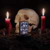 Encendedor Zippo 49771 Flamingo Skull Design Garantia. 2