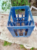 Cajón De Pepsi Antiguo De Plastico 1