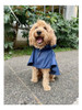 Piloto Impermeable Cocooning Scott Azul Premium Perros M 2