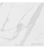 Porcelanato San Lorenzo Calacatta White Pulido 58x58 1era 0