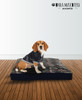 Almohadon Para Perros Y Gatos  Funda Lavable Onda Mascotera 4