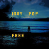 Cd Pop Iggy Free 0