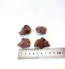Obsidiana Caoba - Ixtlan Minerales 2