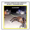 Ahuyenta Animales Vehiculos En Ruta Evita Accidentes Dr-02 2
