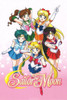 Sailor Moon (serie + Ovas + Peliculas) 2